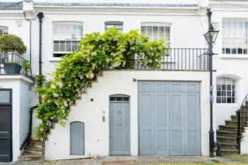 Wisteria growing on a house