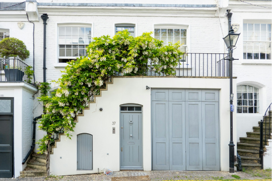 Wisteria growing on a house